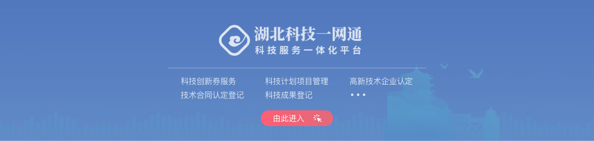 湖北科技一网通